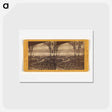 アートポストカード-Moonlight Effect, from Rincon Point
 - エドワード マイブリッジ Postcard.