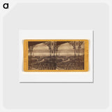 アートポストカード-Moonlight Effect, from Rincon Point
 - エドワード マイブリッジ Postcard.