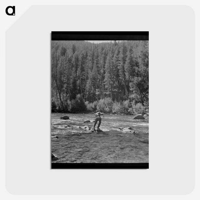 アートポストカード-Fishing in the Salmon River
 - ラッセル リー Postcard.