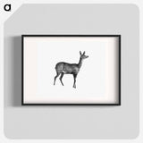 アートポスター-Doe Deer, From Great African Travellers
 - 大英図書館 Poster.
