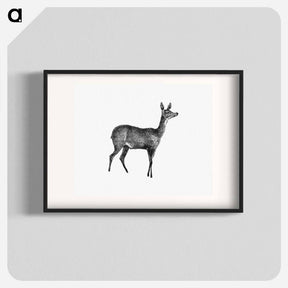 アートポスター-Doe Deer, From Great African Travellers
 - 大英図書館 Poster.