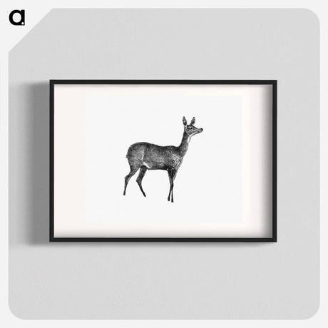 アートポスター-Doe Deer, From Great African Travellers
 - 大英図書館 Poster.