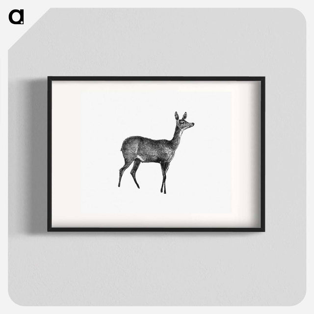 アートポスター-Doe Deer, From Great African Travellers
 - 大英図書館 Poster.