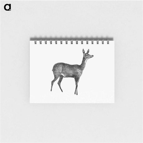 アートメモ帳-Doe Deer, From Great African Travellers
 - 大英図書館 Memo.