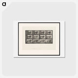アートポストカード-Lion Walking
 - エドワード マイブリッジ Postcard.