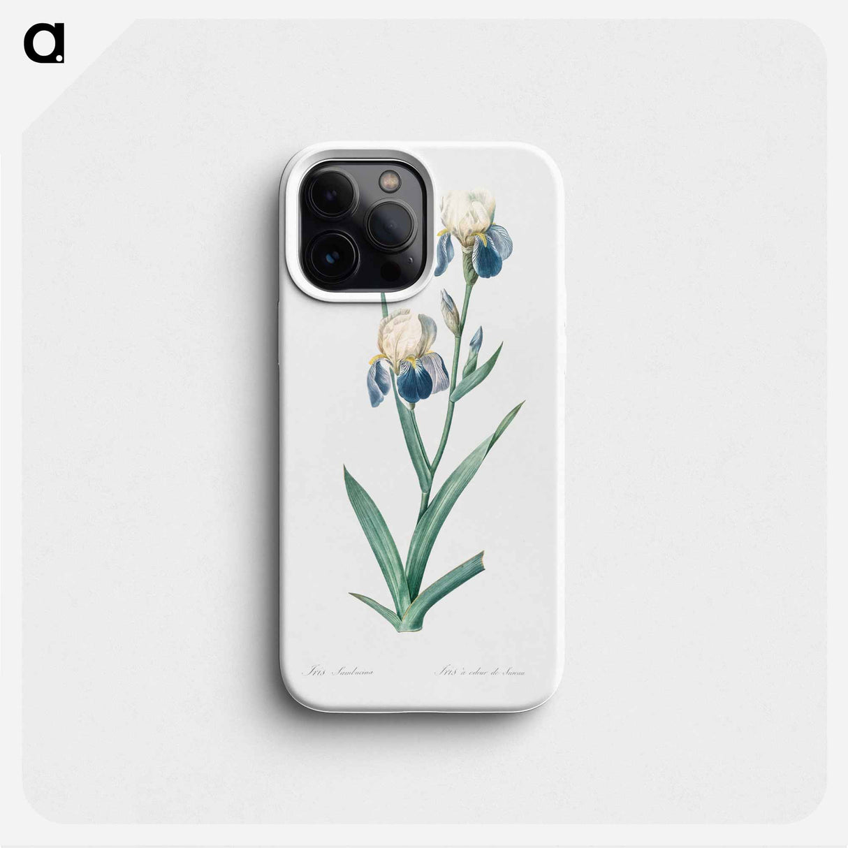 Elder scented iris illustration - ピエール ジョゼフ ルドゥーテ Phone Case.