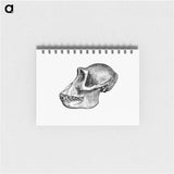 アートメモ帳-Female Gorilla Facial Angle
 - 大英図書館 Memo.