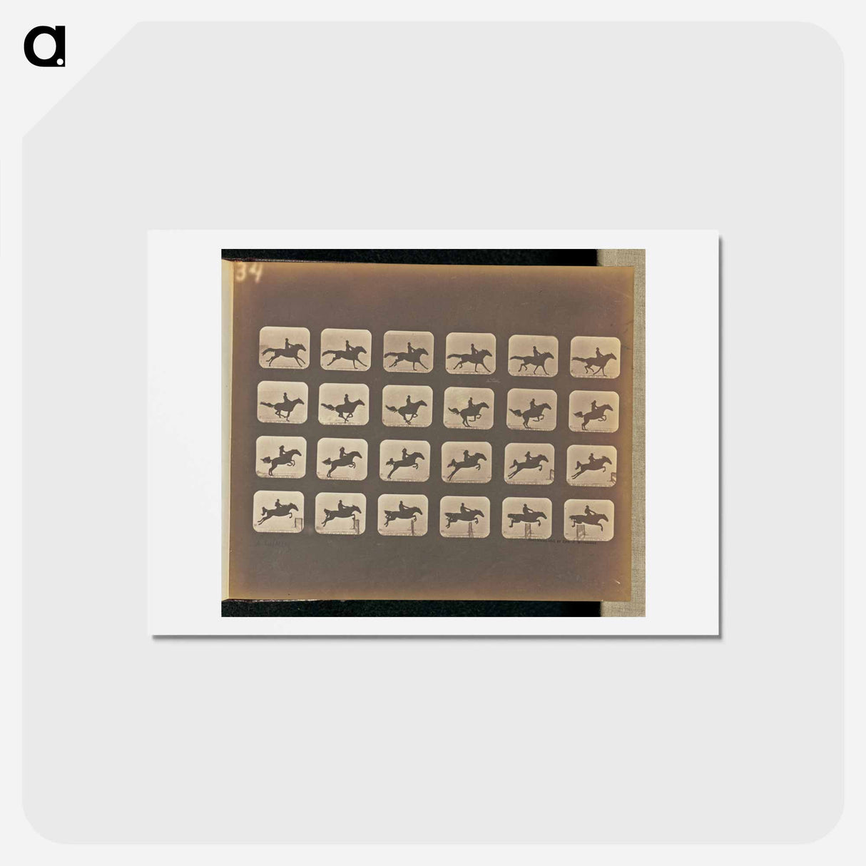 アートポストカード-Leaping
 - エドワード マイブリッジ Postcard.