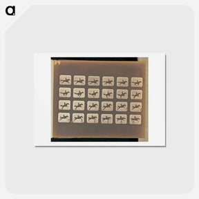 アートポストカード-Leaping
 - エドワード マイブリッジ Postcard.