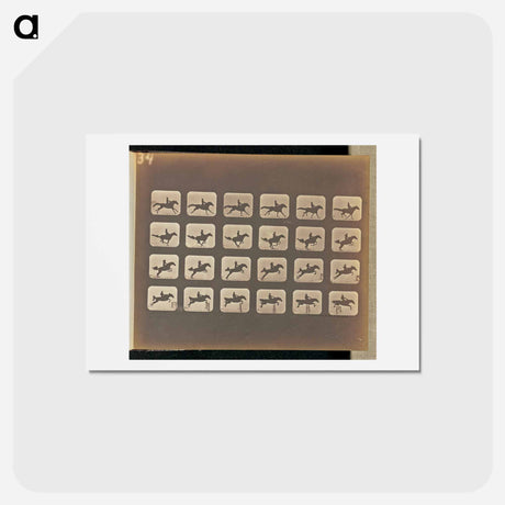 アートポストカード-Leaping
 - エドワード マイブリッジ Postcard.