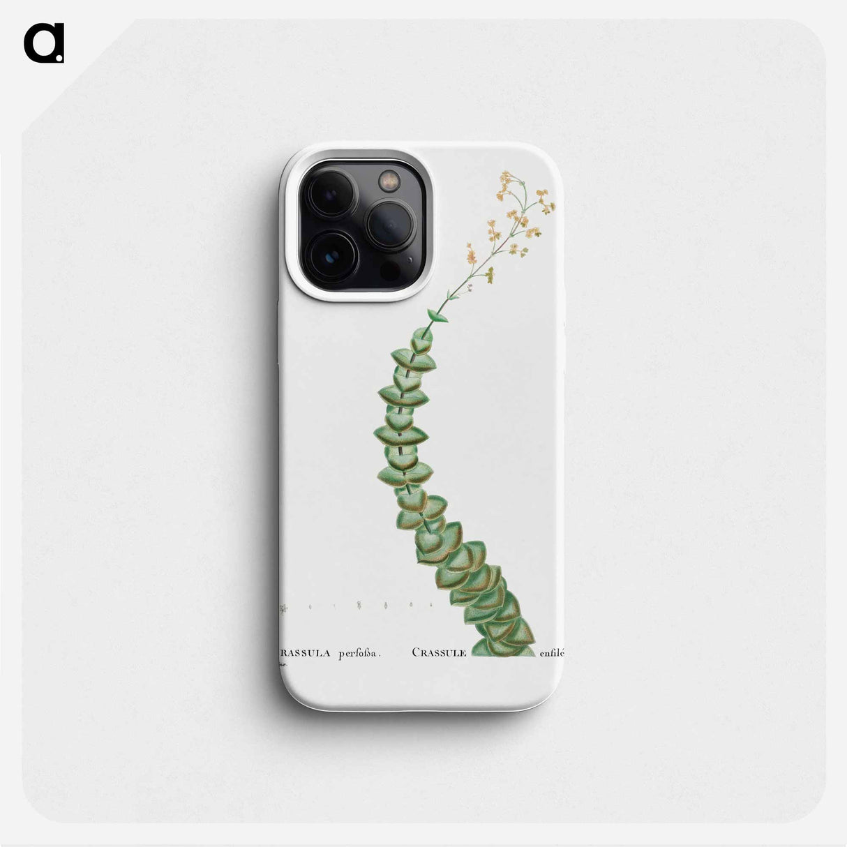 Crassula Perforata (String of Buttons) - ピエール ジョゼフ ルドゥーテ Phone Case.
