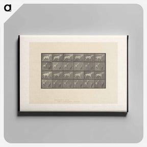 アートパネル-Horse and Cart
 - エドワード マイブリッジ Canvas.