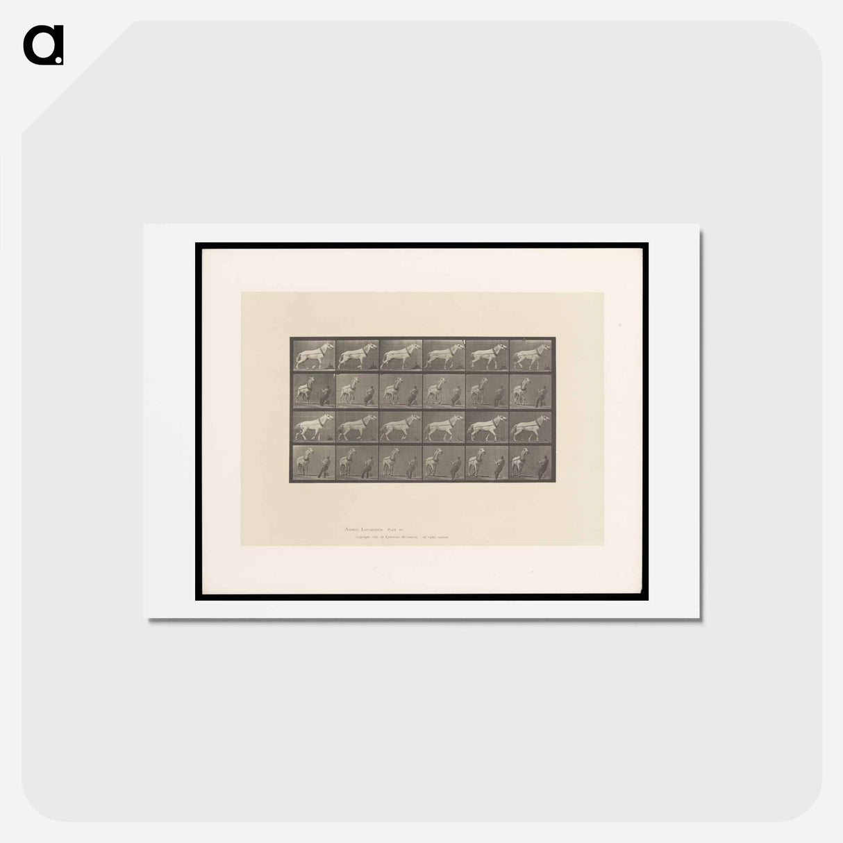 アートポストカード-Horse and Cart
 - エドワード マイブリッジ Postcard.
