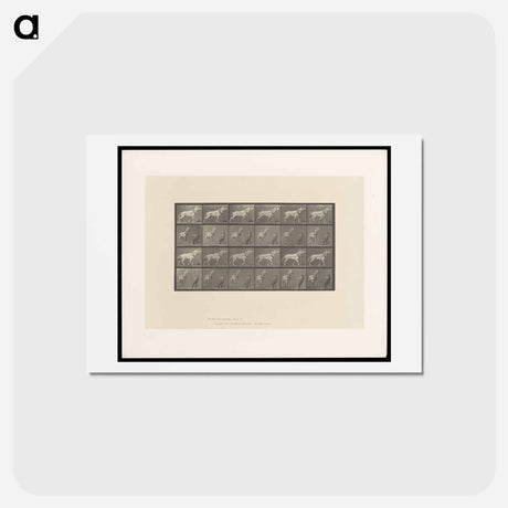 アートポストカード-Horse and Cart
 - エドワード マイブリッジ Postcard.