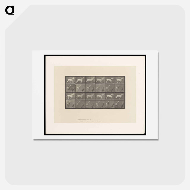 アートポストカード-Horse and Cart
 - エドワード マイブリッジ Postcard.