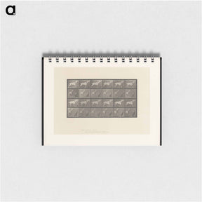 アートメモ帳-Horse and Cart
 - エドワード マイブリッジ Memo.