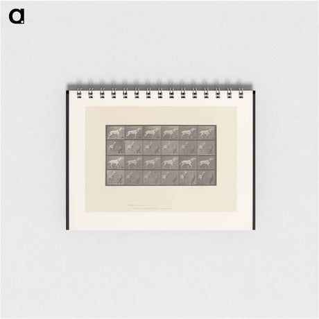 アートメモ帳-Horse and Cart
 - エドワード マイブリッジ Memo.