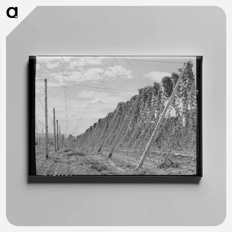アートパネル-Homesteader Returning Home
 - ラッセル リー Canvas.