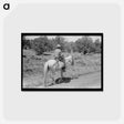 アートポストカード-Homesteader Returning Home
 - ラッセル リー Postcard.