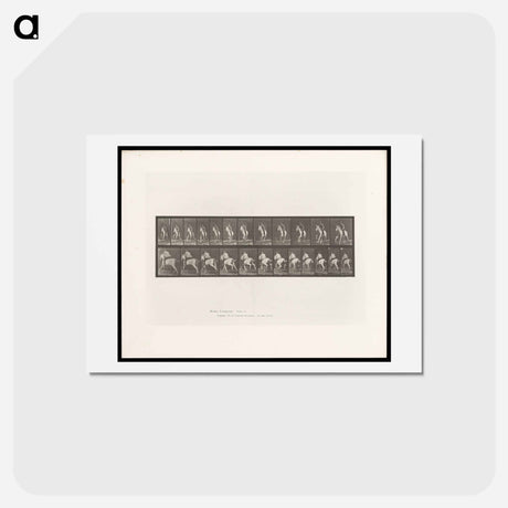 アートポストカード-Man on Horse
 - エドワード マイブリッジ Postcard.