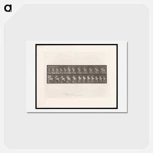 アートポストカード-Man on Horse
 - エドワード マイブリッジ Postcard.