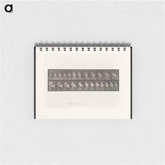 アートメモ帳-Man on Horse
 - エドワード マイブリッジ Memo.