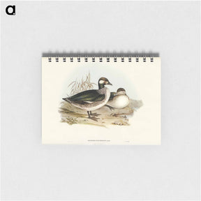 アートメモ帳-Pygmy Goose
 - ジョン グールド Memo.