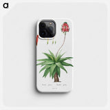 Aloe Picta - Pierre Joseph Redouté Phone Case.