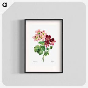 アートポスター-Geranium
 - クリーブランド美術館 Poster.