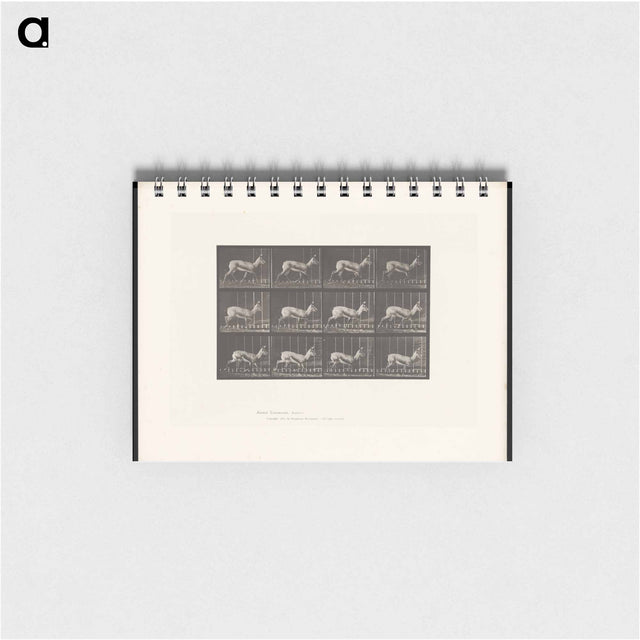 アートメモ帳-Running Antelope
 - エドワード マイブリッジ Memo.