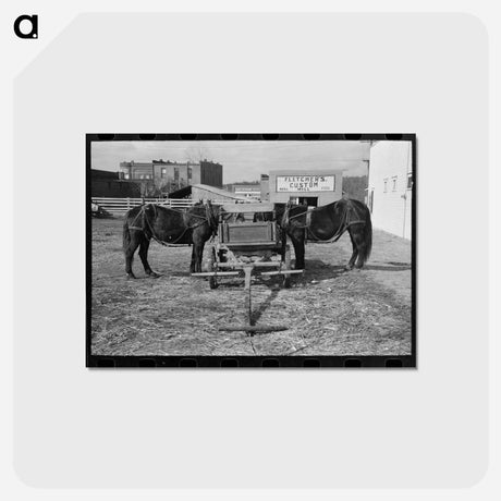 アートポストカード-Mules in Eufaula
 - ラッセル リー Postcard.