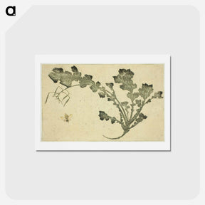 アートポストカード-Wasp and turnip stalk - 葛飾 北斎 Postcard.