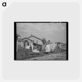 アートポストカード-Farm Security Laundry
 - ラッセル リー Postcard.