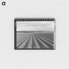 アートメモ帳-Untitled photo - ドロテア ラング Memo.