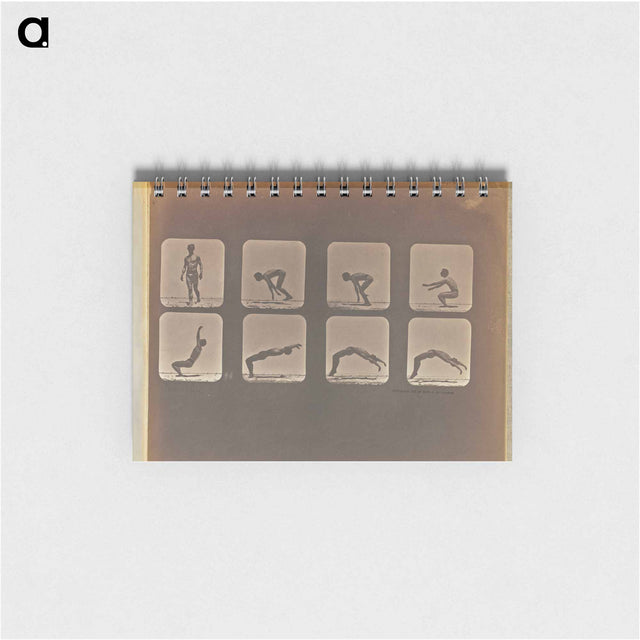 アートメモ帳-Incomplete
 - エドワード マイブリッジ Memo.