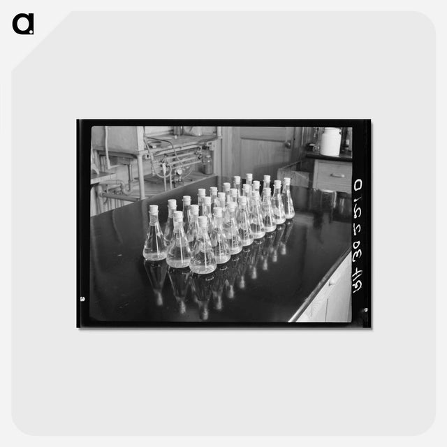 アートポストカード-Forest Products Laboratory
 - ラッセル リー Postcard.