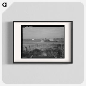 アートポスター-Untitled photo, possibly related to: Entrance to Nyssa Farm family labor camp, FSA (Farm Security Administration) mobile unit number 1, just established before opening of beet season. Near Nyssa, Ore - ドロテア ラング Poster.