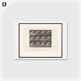 アートポストカード-Stork Walking
 - エドワード マイブリッジ Postcard.