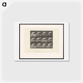 アートポストカード-Stork Walking
 - エドワード マイブリッジ Postcard.