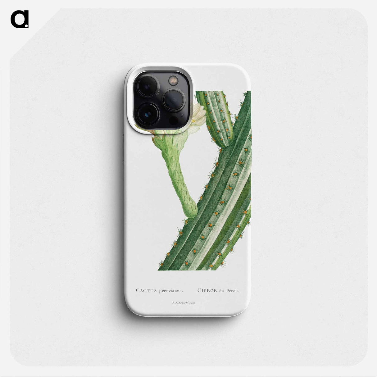 Cactus Peruvianus - ピエール ジョゼフ ルドゥーテ Phone Case.