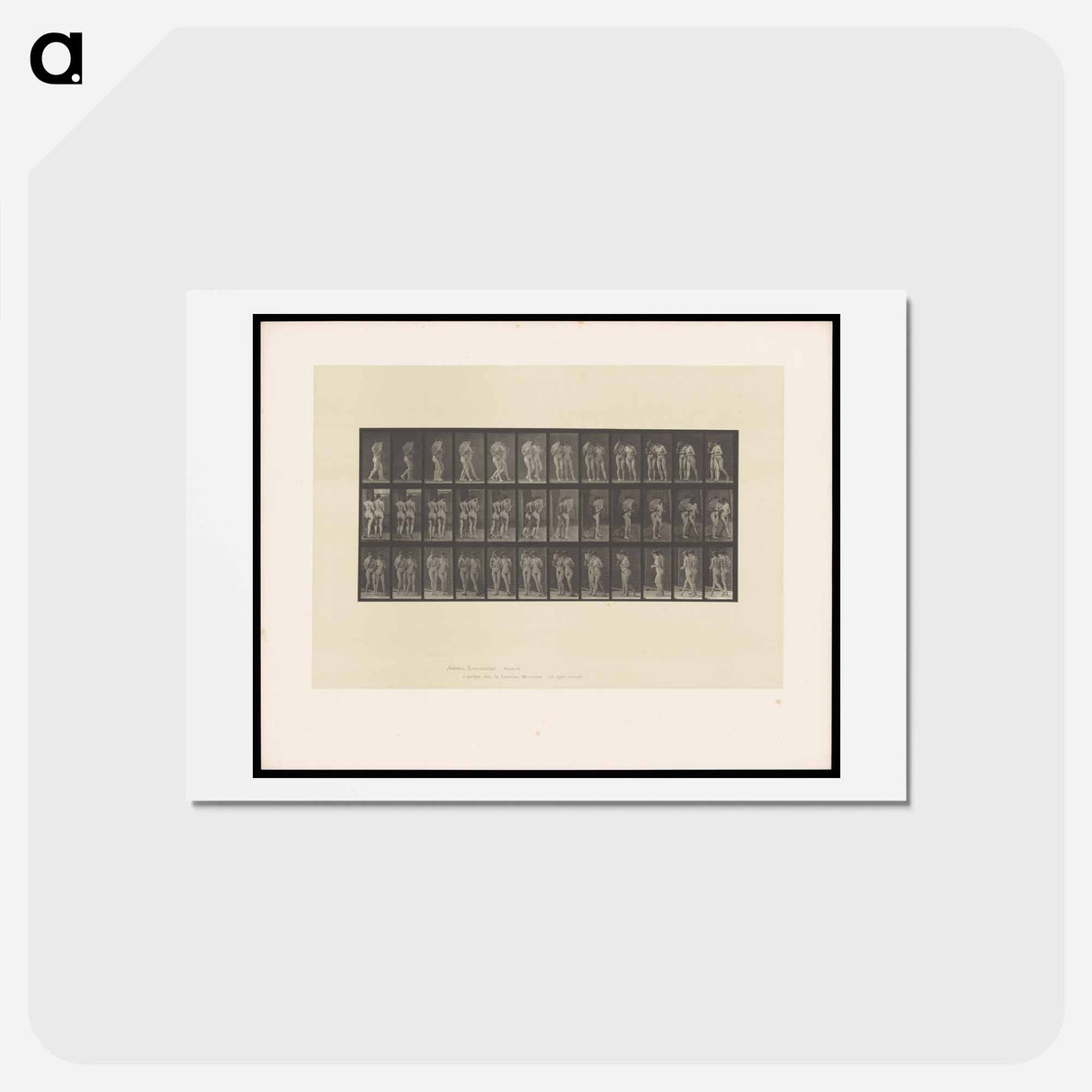 アートポストカード-Naked Women Walking
 - エドワード マイブリッジ Postcard.