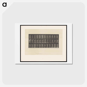 アートポストカード-Naked Women Walking
 - エドワード マイブリッジ Postcard.