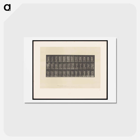 アートポストカード-Naked Women Walking
 - エドワード マイブリッジ Postcard.