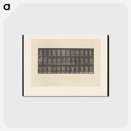 アートポストカード-Naked Women Walking
 - エドワード マイブリッジ Postcard.