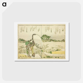 アートポストカード-Mimeguri - 葛飾 北斎 Postcard.
