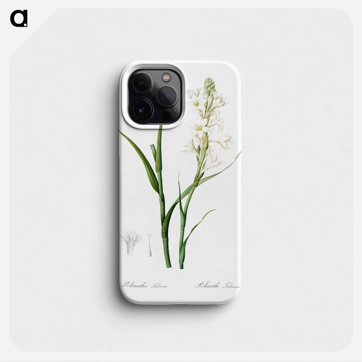 Polianthes tuberosa illustration - ピエール ジョゼフ ルドゥーテ Phone Case.