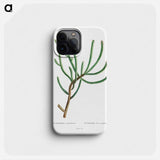 Euphorbia Canariensis - ピエール ジョゼフ ルドゥーテ Phone Case.