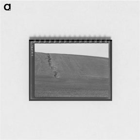 アートメモ帳-Untitled photo - ドロテア ラング Memo.