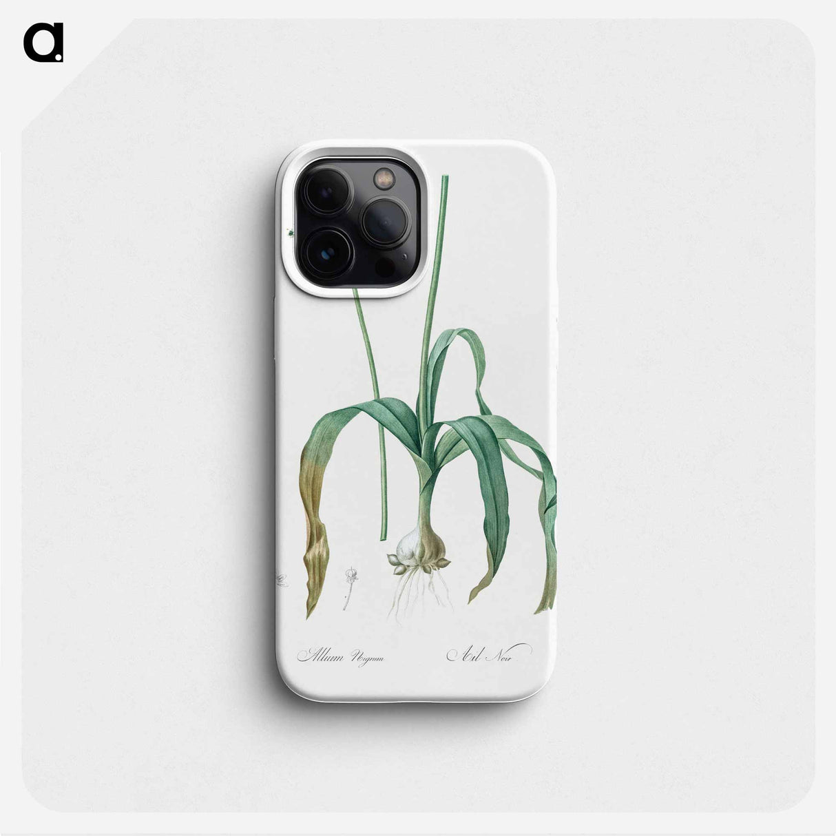 Black garlic illustration - ピエール ジョゼフ ルドゥーテ Phone Case.