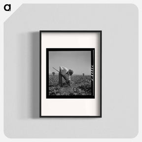アートポスター-Hoeing Sugar Beets
 - ラッセル リー Poster.